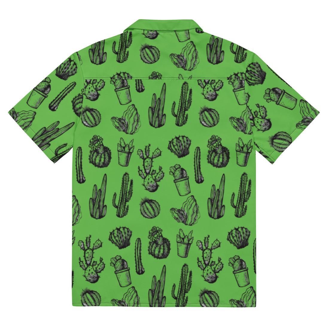 CACTUS de ILOTNA ACOR (imagen 2 de 5)